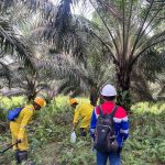 Elnusa Tuntaskan Survei Seismik Lisaman Dengan Catatan Positif