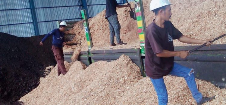 PLN EPI Kembangkan Ekosistem Biomassa di NTT, Dorong Transisi Energi Hijau