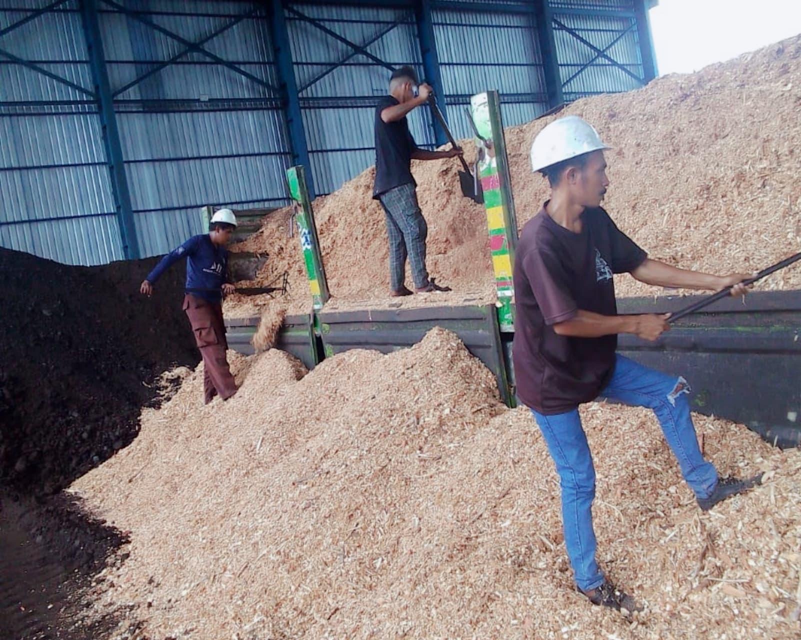 PLN EPI Kembangkan Ekosistem Biomassa di NTT, Dorong Transisi Energi Hijau