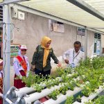 Pertamina Salurkan Beasiswa ke 44 Local Hero untuk Dukung Pendidikan dan Inisiatif Lingkungan