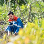 Konservasi dan Ekonomi Jalan Bersama: Strategi Hijau Pertamina Menuju NZE 2060