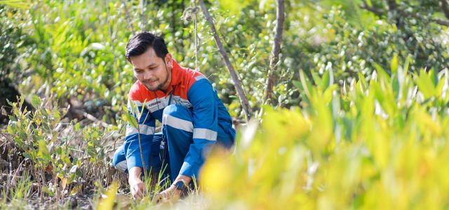 Konservasi dan Ekonomi Jalan Bersama: Strategi Hijau Pertamina Menuju NZE 2060