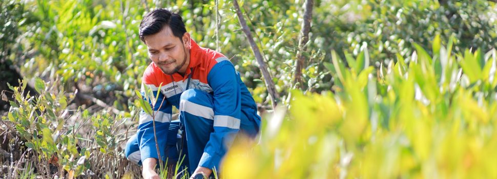 Konservasi dan Ekonomi Jalan Bersama: Strategi Hijau Pertamina Menuju NZE 2060