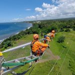 PLN Kalahkan Perusahaan Energi Global, Jadi Tempat Kerja Terbaik 2025 versi LinkedIn