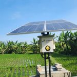 Teknologi Irigasi Canggih Selamatkan Padi Bali dari Kekeringan