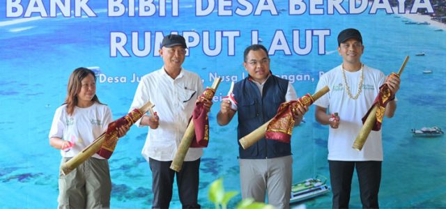 Cerita Desa Jungut Batu: Rumput Laut Jadi Primadona Baru Berkat PLN