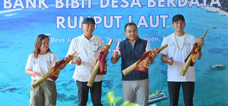 Cerita Desa Jungut Batu: Rumput Laut Jadi Primadona Baru Berkat PLN
