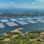 Target NZE 2060 Makin Dekat, Ini Strategi Hijau PLN 10 Tahun ke Depan