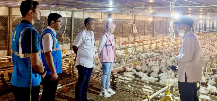PLN Cetak Rekor Penjualan Listrik 2024, Konsumsi Listrik Naik Gara-Gara Strategi Pemasaran Gila-Gilaan