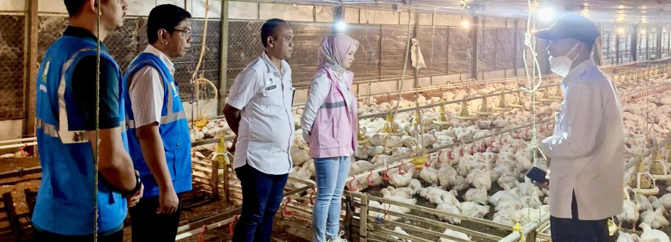 PLN Cetak Rekor Penjualan Listrik 2024, Konsumsi Listrik Naik Gara-Gara Strategi Pemasaran Gila-Gilaan