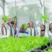 Hijaukan Lombok, Pertamina Raup Nilai Ekonomi Rp60 Juta per Tahun dari Hutan Lestari
