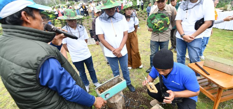 PLTS Pertamina Terangi Hutan Besakih, Untung Rp120 Juta per Bulan!
