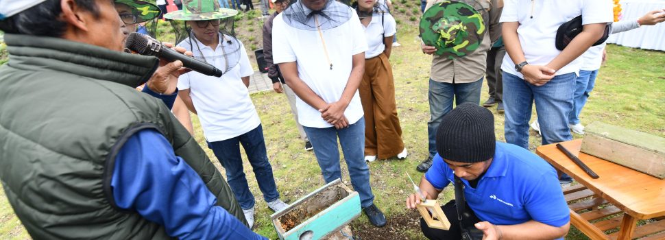 PLTS Pertamina Terangi Hutan Besakih, Untung Rp120 Juta per Bulan!
