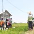 PLN Raih 43 Penghargaan di Nusantara CSR Awards 2025, Bukti Komitmen Wujudkan SDGs