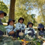 Inovasi Geotermal Bawa Petani Kopi Kamojang Go Internasional