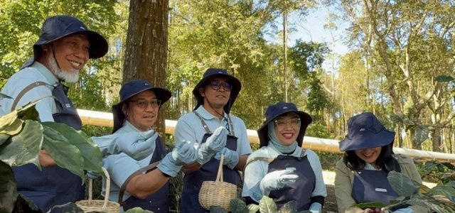 Inovasi Geotermal Bawa Petani Kopi Kamojang Go Internasional