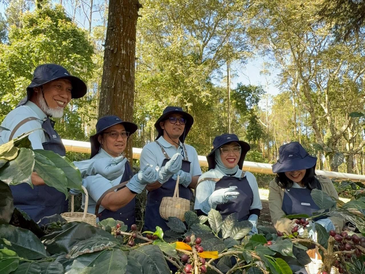 Inovasi Geotermal Bawa Petani Kopi Kamojang Go Internasional