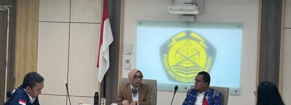 Flores Siap Jadi Pusat Energi Hijau, Pemerintah Siapkan UPT dan Prodi Baru
