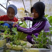 Dari Desa Hingga Panggung Dunia, Anak-Anak Ini Dibina Pertamina!