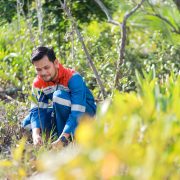 Pertamina ‘Gempur’ Abrasi & Sampah Laut, Bangun Pusat Mangrove Nasional di Jakarta