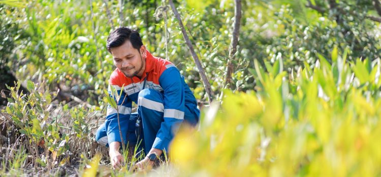 Pertamina ‘Gempur’ Abrasi & Sampah Laut, Bangun Pusat Mangrove Nasional di Jakarta
