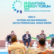 Bongkar Jurus PLN EPI! Begini Cara Kejar 3 Juta Ton Biomassa untuk PLTU 2025