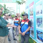 Keren Abis! Pertamina Tanam Ribuan Mangrove, Bikin Kampung Ini Naik Kelas