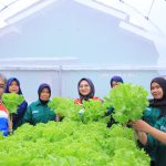 Pertamina Sulap Desa Kalijaran Jadi Sentra Pertanian Modern Berbasis Energi Terbarukan