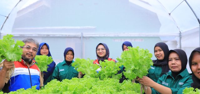 Pertamina Sulap Desa Kalijaran Jadi Sentra Pertanian Modern Berbasis Energi Terbarukan