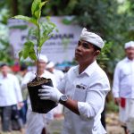 Simsalabim! Pertamina Sulap Hutan Jadi Mesin Uang dan Pelindung Alam