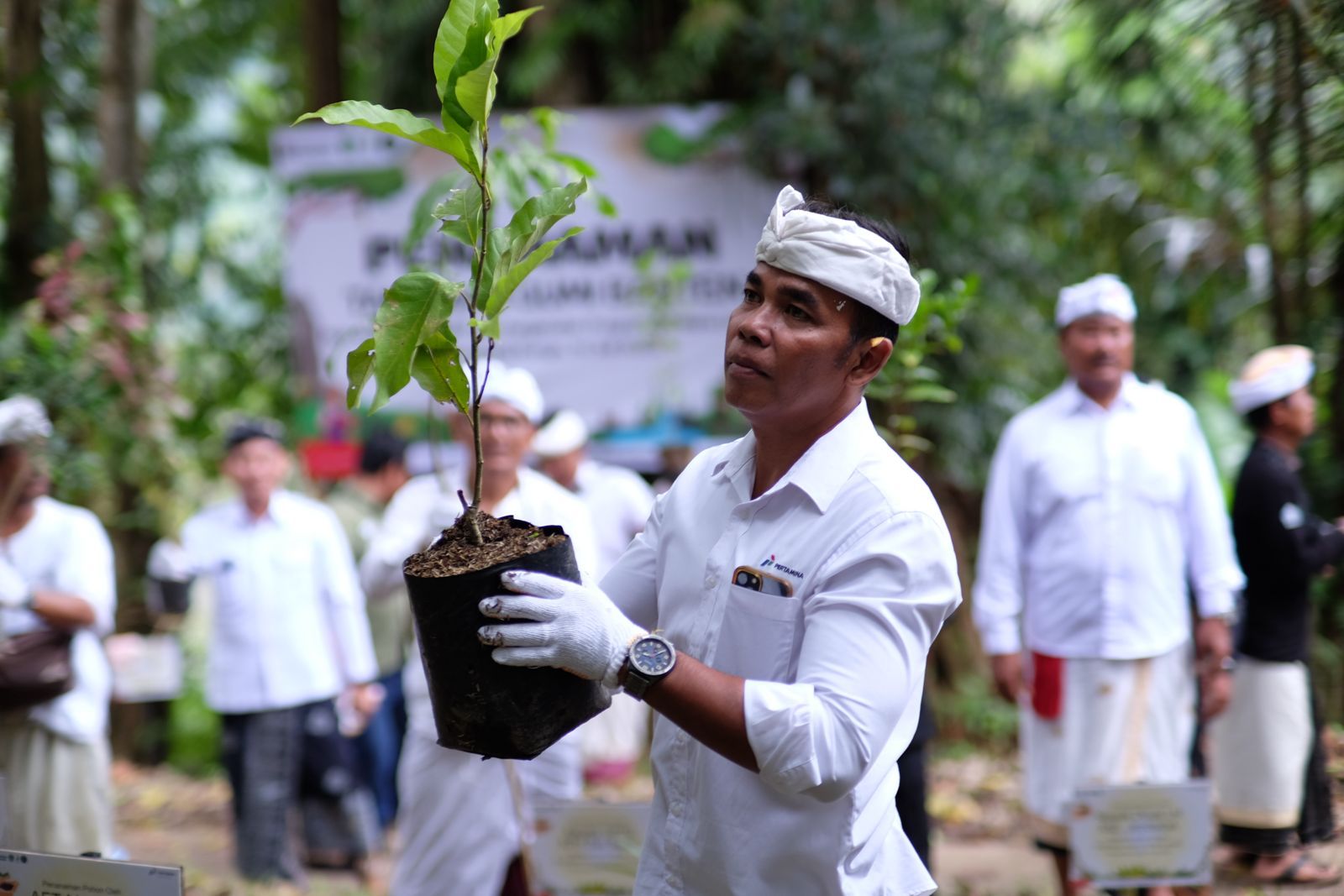 Simsalabim! Pertamina Sulap Hutan Jadi Mesin Uang dan Pelindung Alam