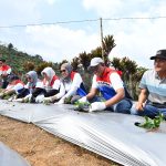 Pertamina Resmikan Desa Energi Berdikari di Sumsel, Dorong Ekonomi Lokal & Transisi Hijau