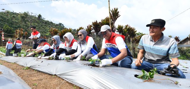 Pertamina Resmikan Desa Energi Berdikari di Sumsel, Dorong Ekonomi Lokal & Transisi Hijau