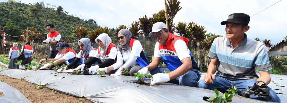 Pertamina Resmikan Desa Energi Berdikari di Sumsel, Dorong Ekonomi Lokal & Transisi Hijau