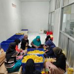Nanas-Qu Binaan Pertamina Rangkul Ratusan Petani, Jaga Lingkungan, dan Tembus Pasar Global