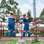 Pertamina NRE Dorong Transisi Energi Efisien dan Ketahanan Energi Nasional
