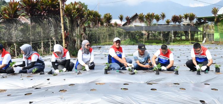 Pertamina Kembangkan Desa Energi Berdikari di Rantau Dedap, Dari Listrik Bersih hingga Wisata Edukasi