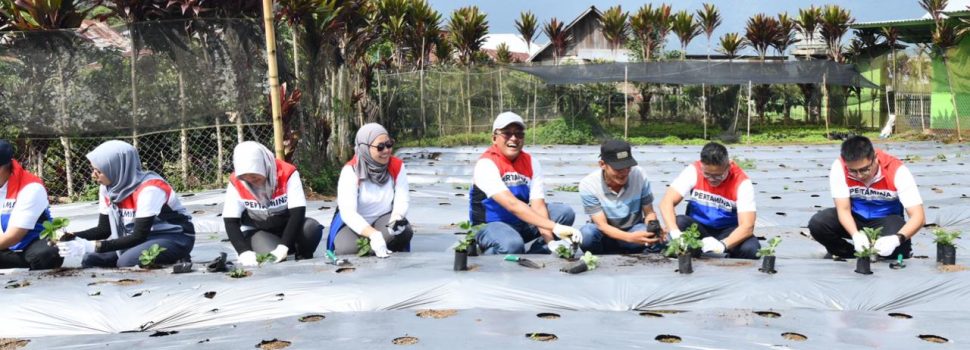 Pertamina Kembangkan Desa Energi Berdikari di Rantau Dedap, Dari Listrik Bersih hingga Wisata Edukasi