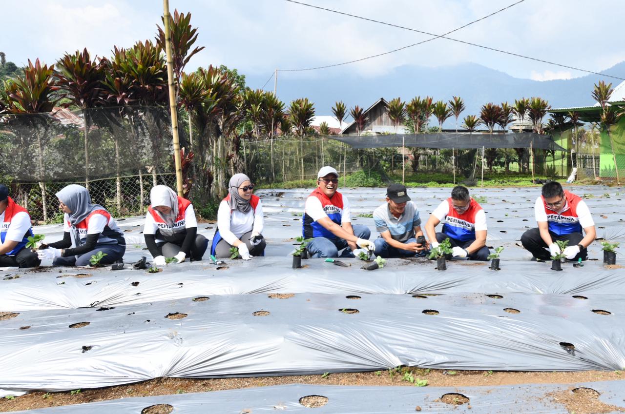 Pertamina Kembangkan Desa Energi Berdikari di Rantau Dedap, Dari Listrik Bersih hingga Wisata Edukasi