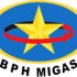 Pemerintah Serahkan 18 Calon Komite BPH Migas ke DPR RI untuk Fit and Proper Test