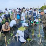 PLN Tanam 72 Ribu Mangrove untuk Lindungi Pesisir Utara Jawa dari Banjir Rob
