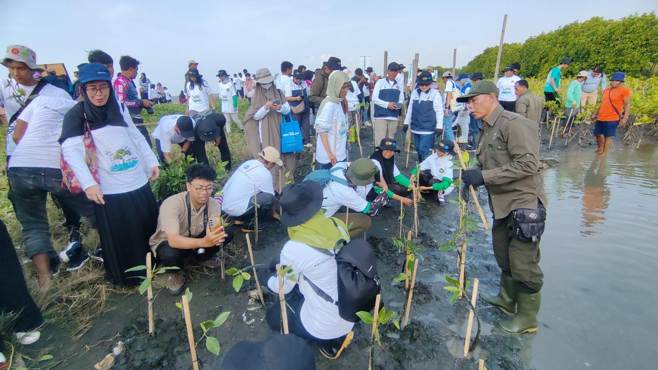 PLN Tanam 72 Ribu Mangrove untuk Lindungi Pesisir Utara Jawa dari Banjir Rob