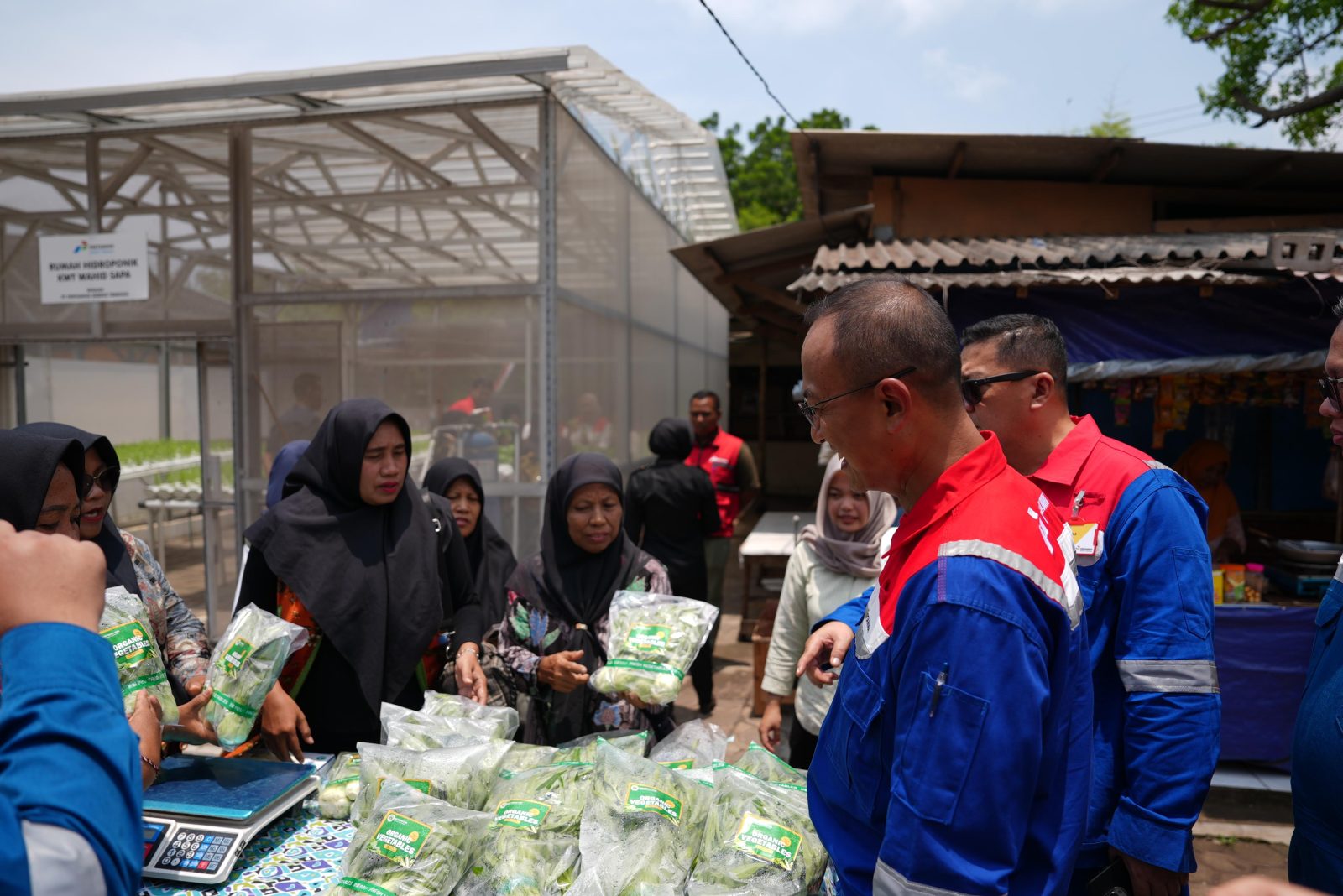 Pertamina Kembangkan Desa Energi Berdikari di Banten untuk Perkuat Ketahanan Pangan dan Energi