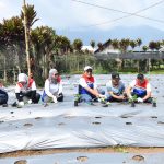 Pertamina Genjot Edukasi Keberlanjutan Energi Lewat Program Sosial dan Kolaborasi Media