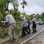 PLN Tancap Gas! Pemulihan Listrik Sumbar Capai 99,8%, Gubernur Mahyeldi Beri Apresiasi