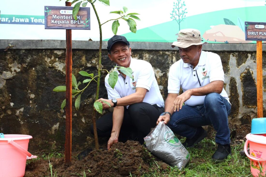 TJSL PLN Peduli 2025 Sentuh 701 Ribu Warga, Serap 34 Ribu Tenaga Kerja dan Perkuat UMK
