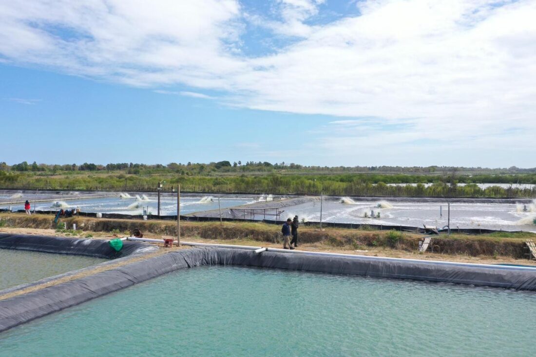 Listrik Makin Ngebut! Penjualan PLN Tembus 317,69 TWh Sepanjang 2025, Ini Pendorongnya