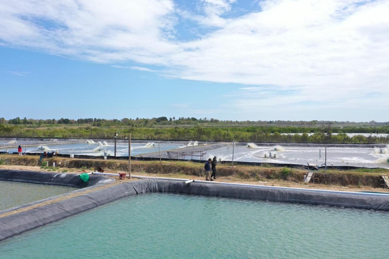 Listrik Makin Ngebut! Penjualan PLN Tembus 317,69 TWh Sepanjang 2025, Ini Pendorongnya