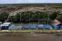 EBT Pertamina Tembus 8.743 GWh, Perkuat Ketahanan Listrik di Tengah Gejolak Global