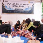 PLN Salurkan 2.122 Hewan Kurban untuk 200 Ribu Penerima Manfaat di Seluruh Indonesia